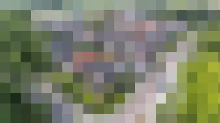 Kerkakkers 6 Groessen thumbnail 56