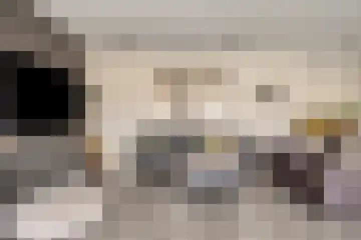 Kerkakkers 7 Zeeland thumbnail 12