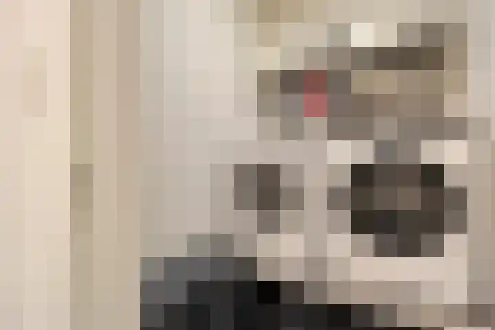 Kerkakkers 7 Zeeland thumbnail 25