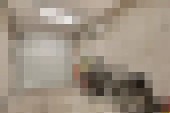 Kerkakkers 7 Zeeland thumbnail 29