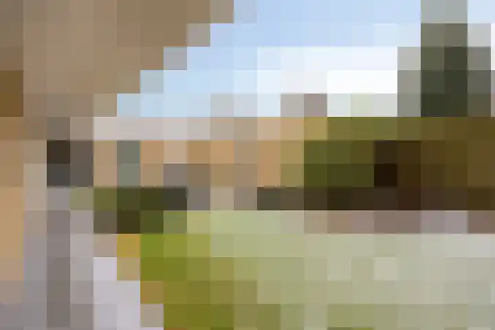 Kerkakkers 7 Zeeland thumbnail 33