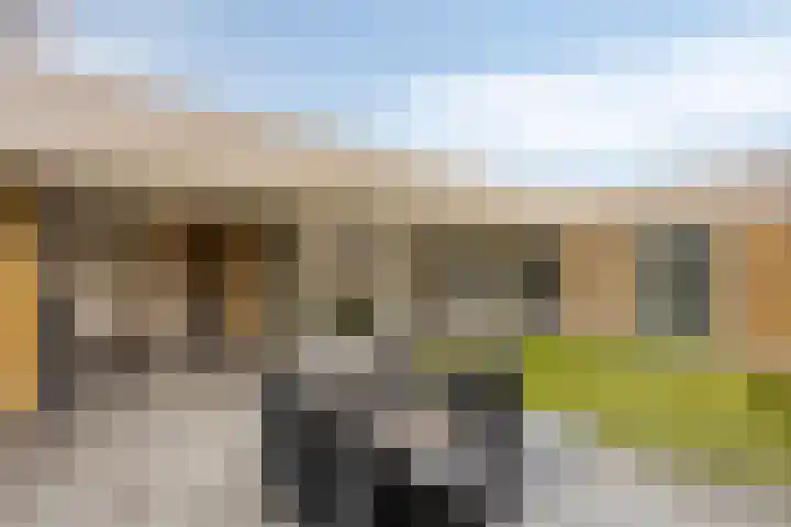Kerkakkers 7 Zeeland thumbnail 35