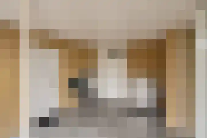 Kerkakkers 7 Zeeland thumbnail 36