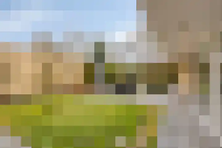 Kerkakkers 7 Zeeland thumbnail 38
