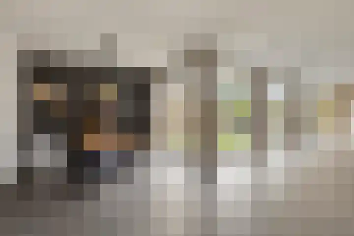 Kerkakkers 7 Zeeland thumbnail 6