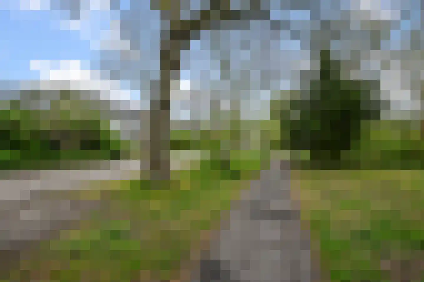 Kerkakkers 77 Heiloo thumbnail 35