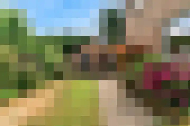 Kerkakkers 79 Heiloo thumbnail 41