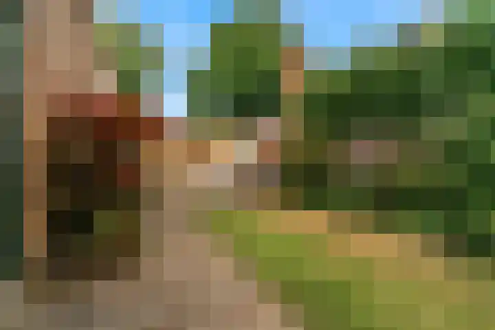 Kerkakkers 79 Heiloo thumbnail 43