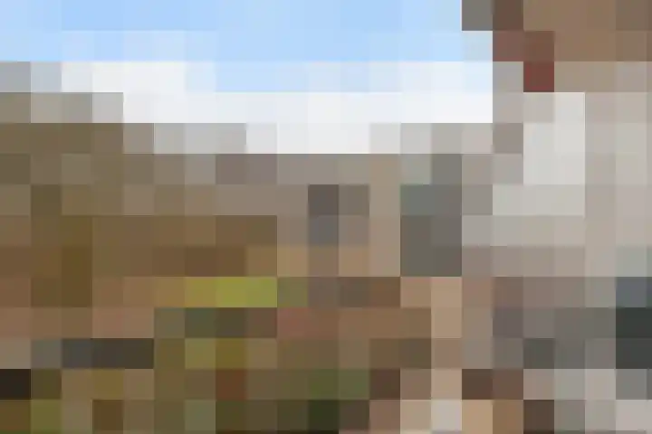 Kerkakkers 79 Heiloo thumbnail 50
