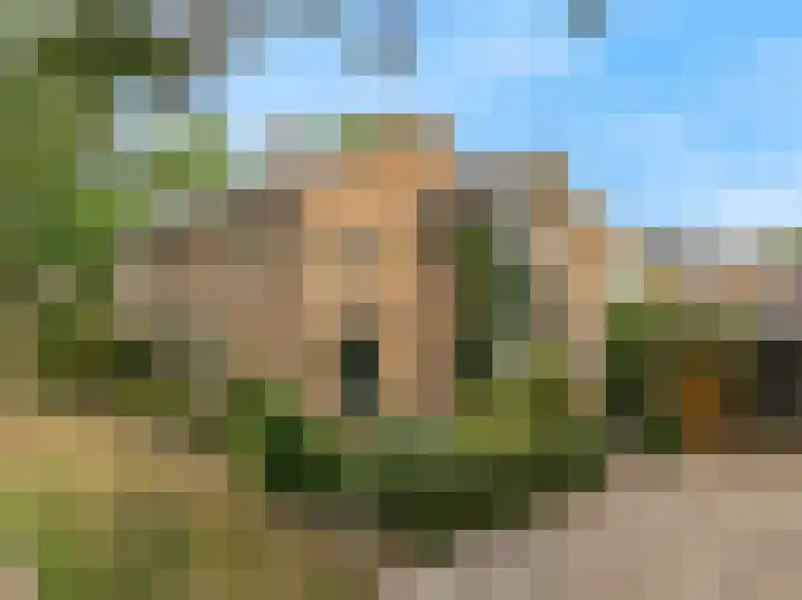 Kerkakkers 79 Heiloo thumbnail 56