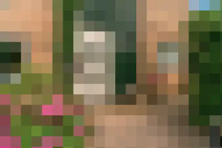 Kerkakkers 79 Heiloo thumbnail 6