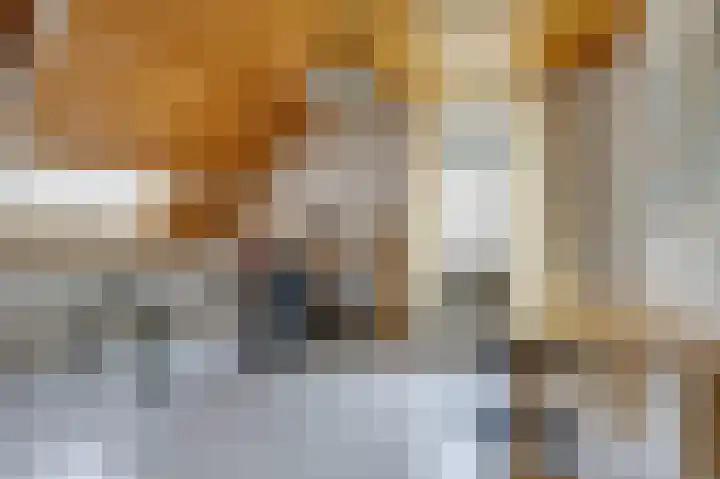 Kerkallee 10 Velp thumbnail 22
