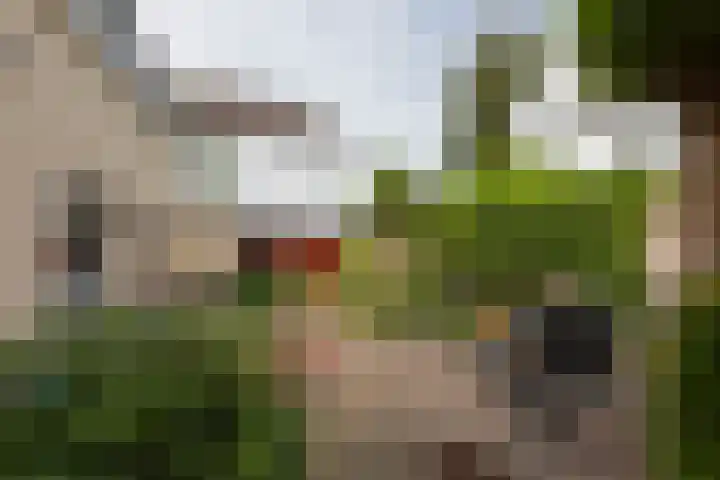 Kerkallee 10 Velp thumbnail 30
