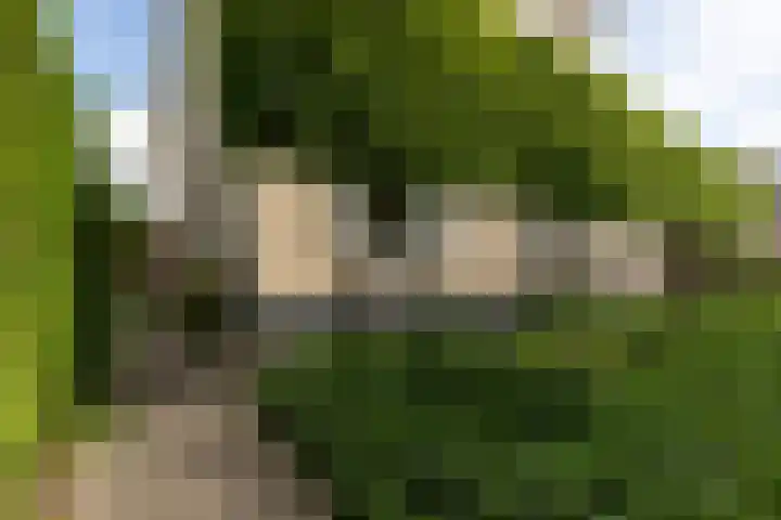 Kerkallee 10 Velp thumbnail 38