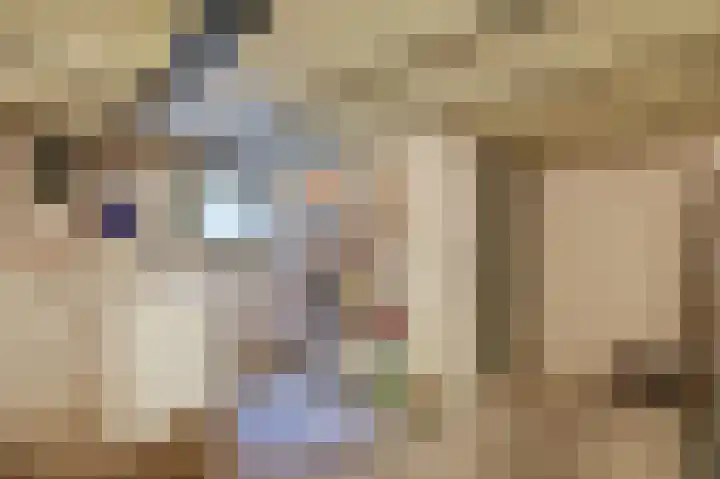 Kerkallee 10 Velp thumbnail 49