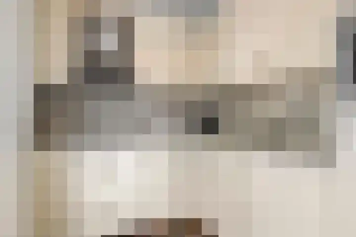 Kerkbosweg 10 America thumbnail 14