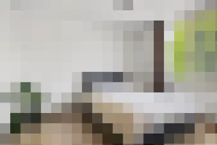 Kerkbosweg 10 America thumbnail 20