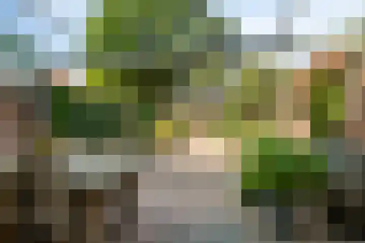 Kerkbosweg 10 America thumbnail 30
