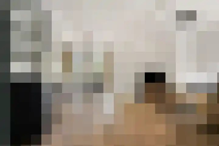 Kerkbosweg 10 America thumbnail 6