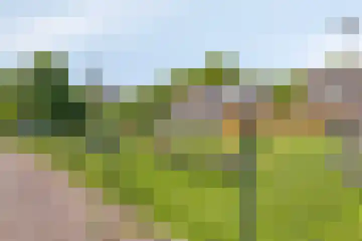 Kerkbuurt 2 Zuidschermer thumbnail 32