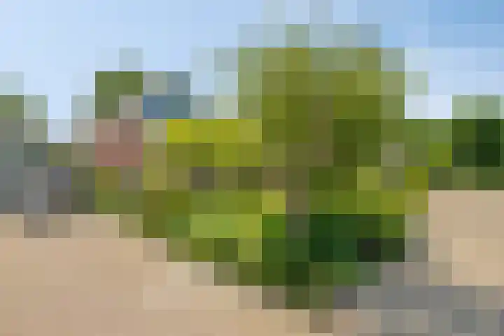 Kerkbuurt 2 Zuidschermer thumbnail 8