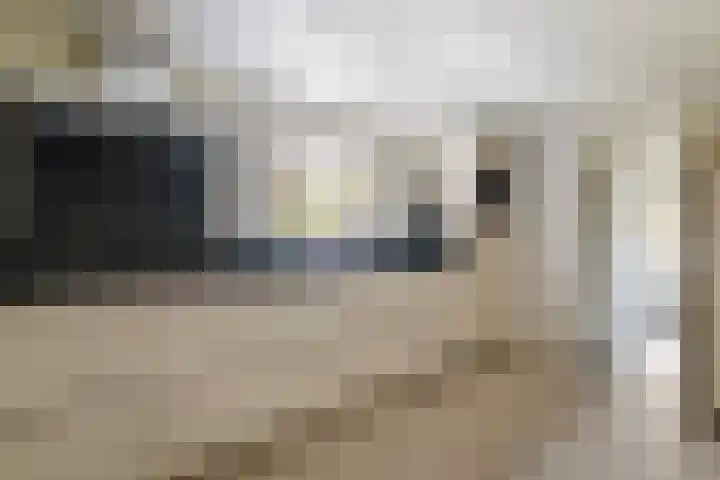 Kerkbuurt 28 Suwâld thumbnail 27