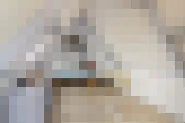 Kerkbuurt 28 Suwâld thumbnail 36