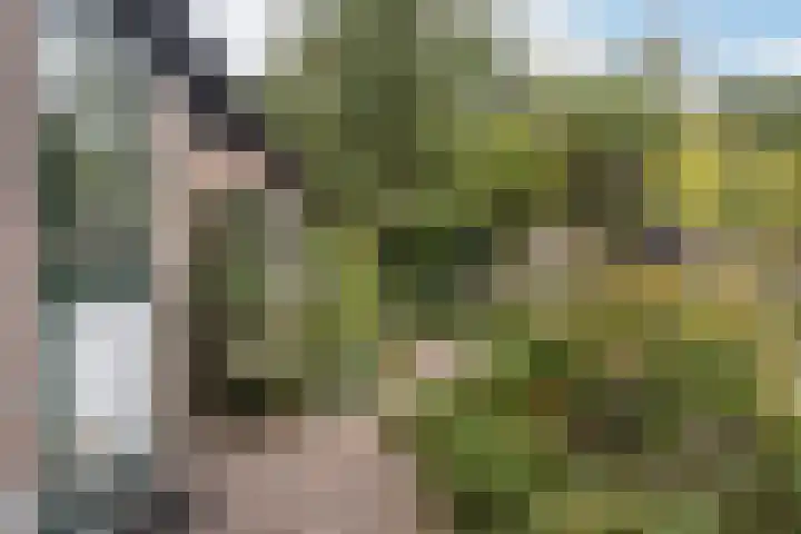 Kerkbuurt 28 Suwâld thumbnail 47