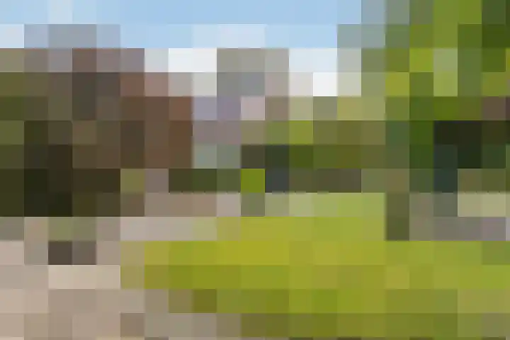 Kerkbuurt 28 Suwâld thumbnail 53