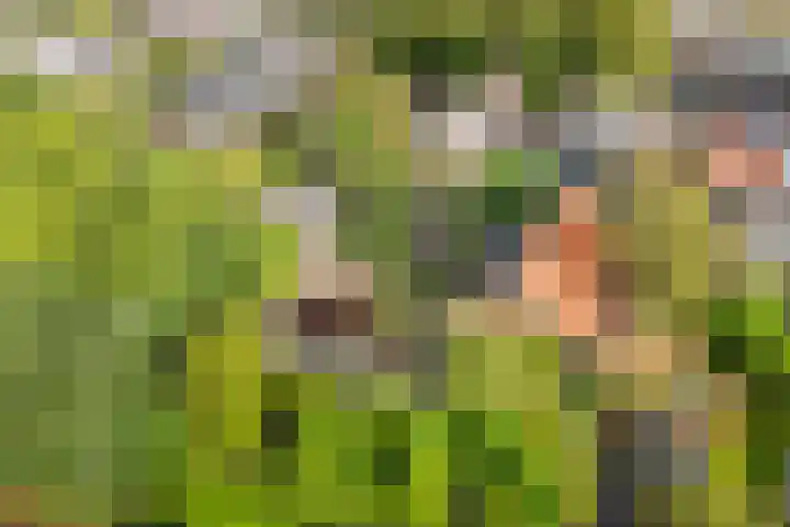 Kerkbuurt 28 Suwâld thumbnail 6