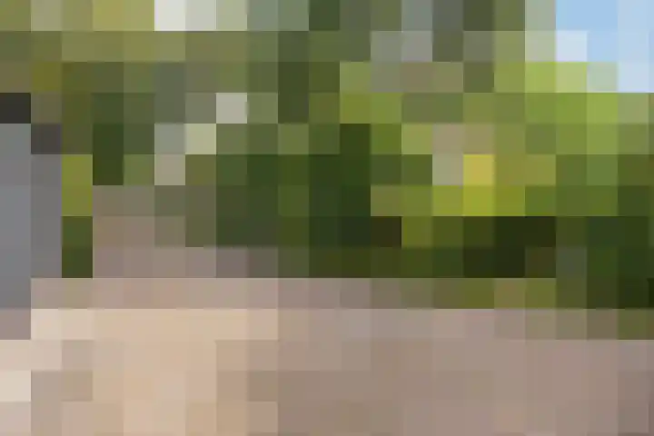 Kerkbuurt 28 Suwâld thumbnail 63