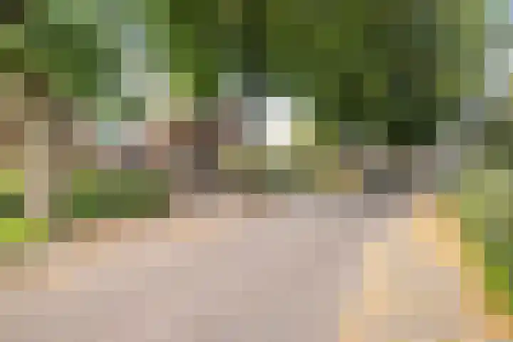 Kerkbuurt 28 Suwâld thumbnail 65