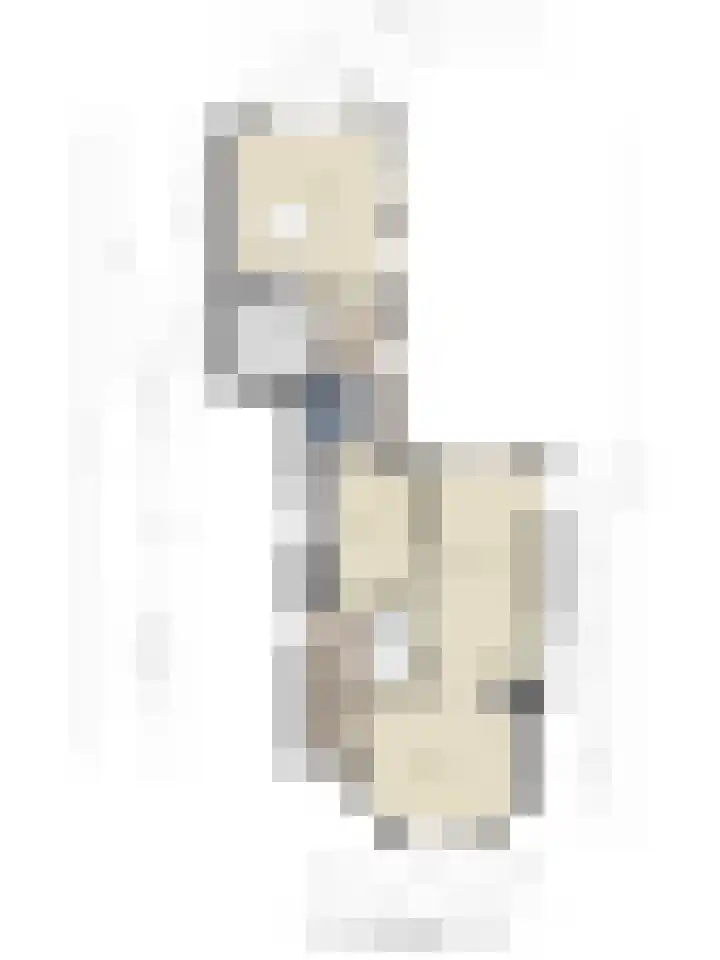Kerkbuurt 28 Suwâld thumbnail 68
