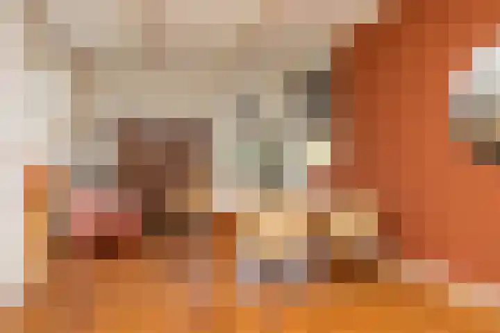 Kerkdijk 10 Ansen thumbnail 21