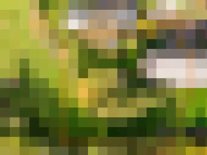 Kerkdijk 10 Ansen thumbnail 55