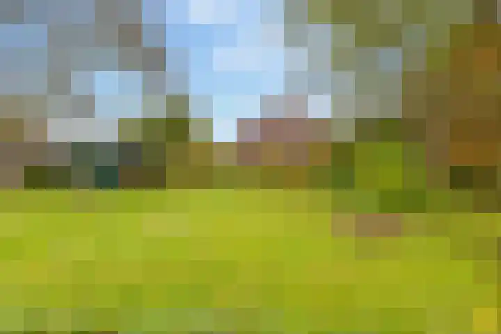 Kerkdijk 10 Ansen thumbnail 57