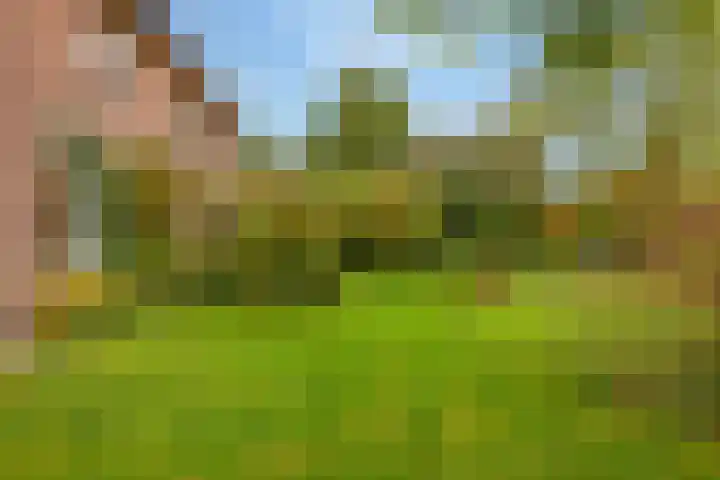 Kerkdijk 10 Ansen thumbnail 59