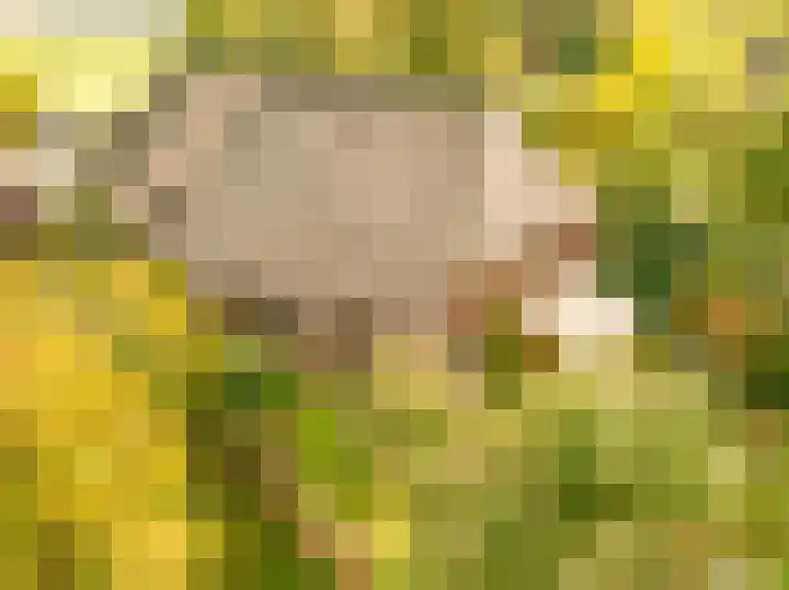 Kerkdijk 10 Ansen thumbnail 6