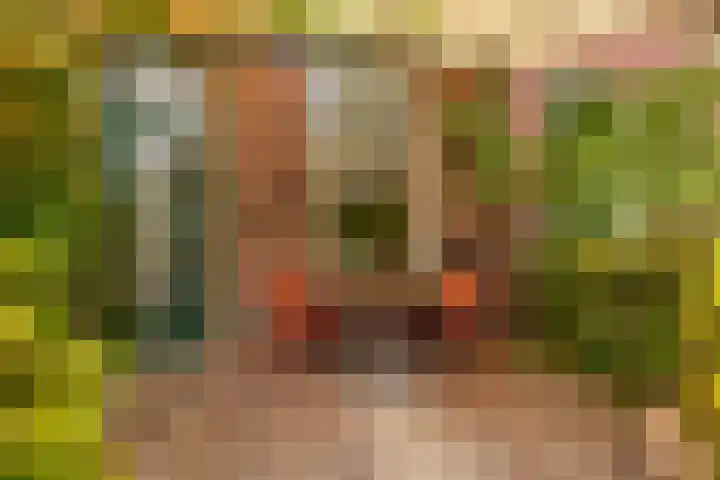 Kerkdijk 10 Ansen thumbnail 62