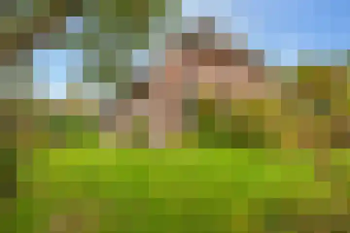 Kerkdijk 10 Ansen thumbnail 63