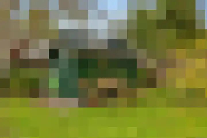 Kerkdijk 10 Ansen thumbnail 66