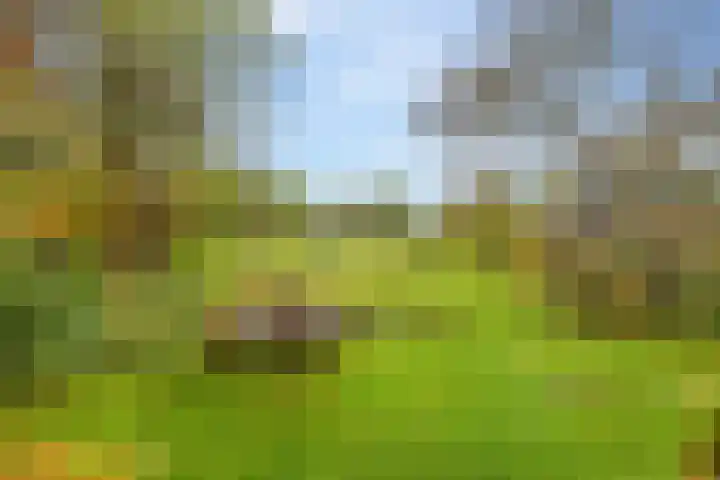 Kerkdijk 10 Ansen thumbnail 67