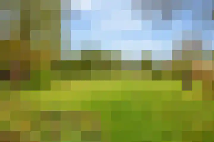 Kerkdijk 10 Ansen thumbnail 68