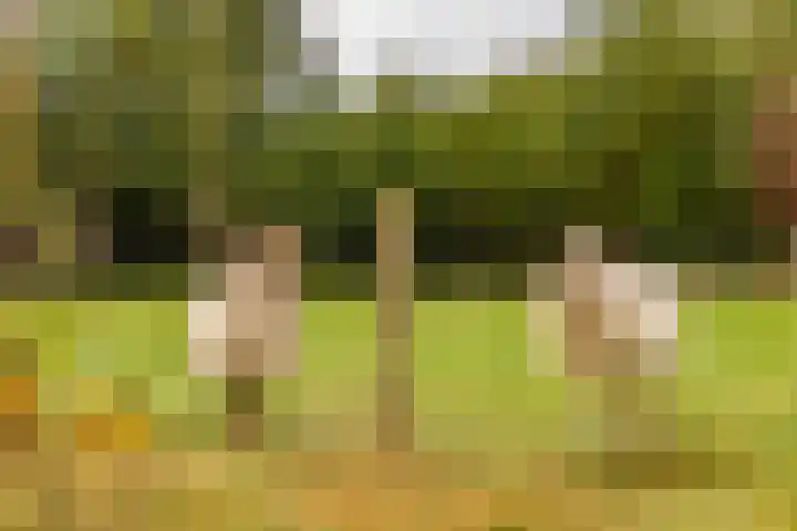 Kerkdijk 10 Ansen thumbnail 70