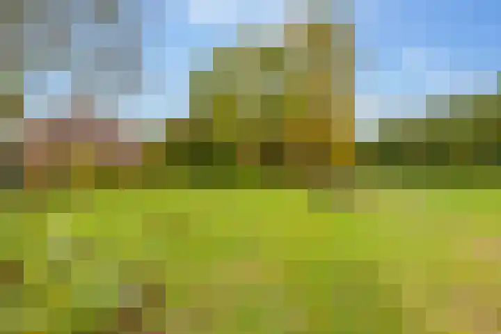 Kerkdijk 10 Ansen thumbnail 72