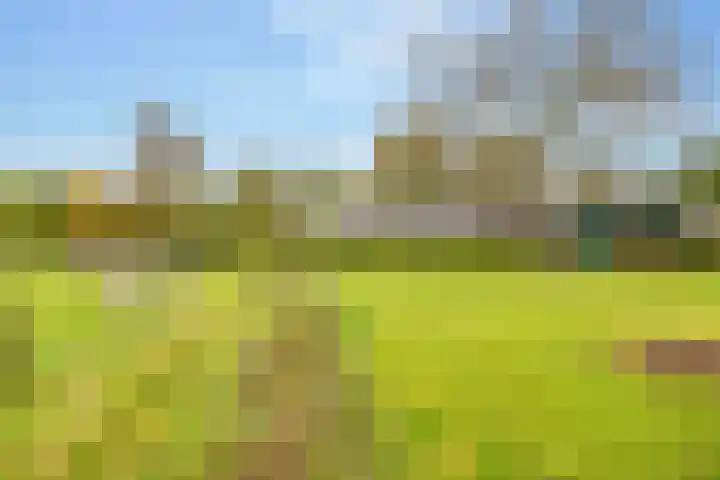 Kerkdijk 10 Ansen thumbnail 73