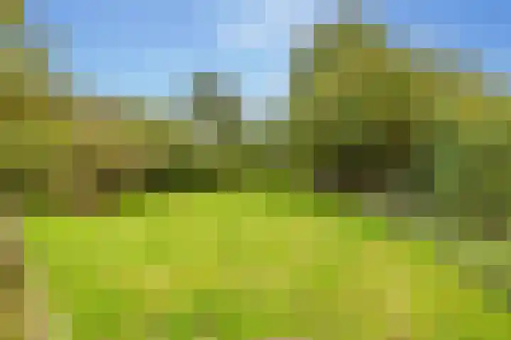Kerkdijk 10 Ansen thumbnail 74
