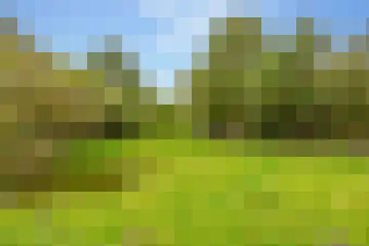 Kerkdijk 10 Ansen thumbnail 75