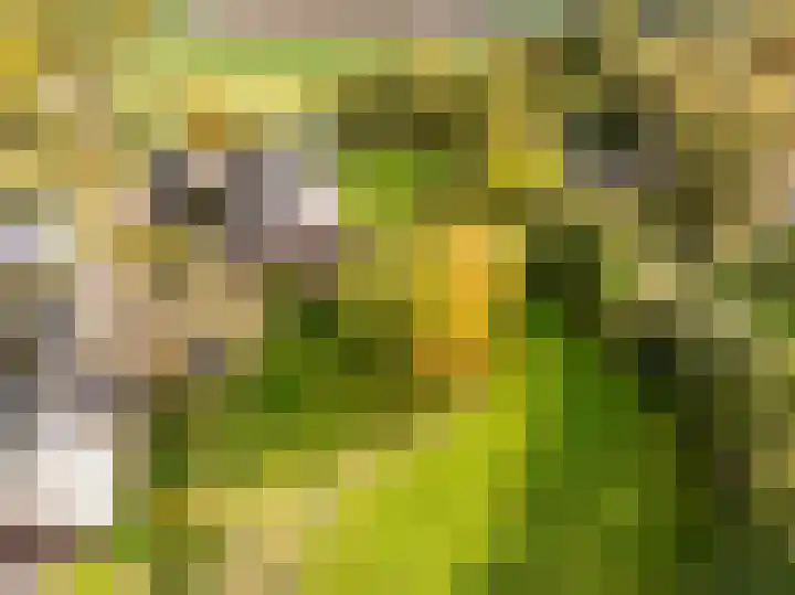 Kerkdijk 10 Ansen thumbnail 76