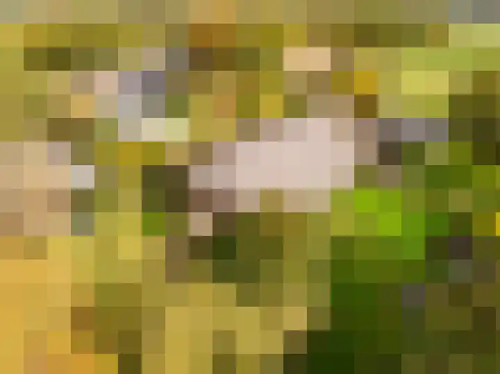 Kerkdijk 10 Ansen thumbnail 77